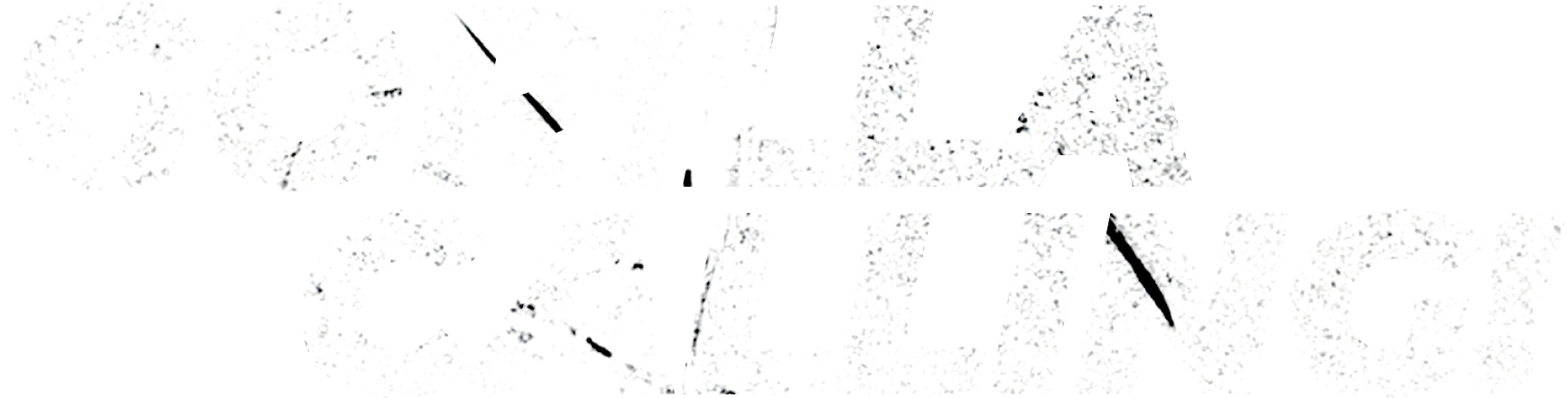 Gorilla Image