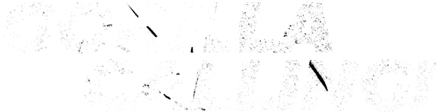Gorilla Image