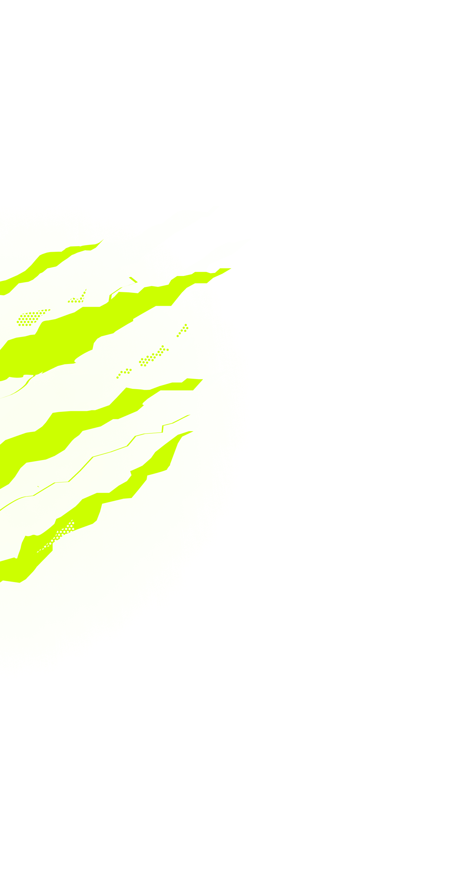 Particle Image