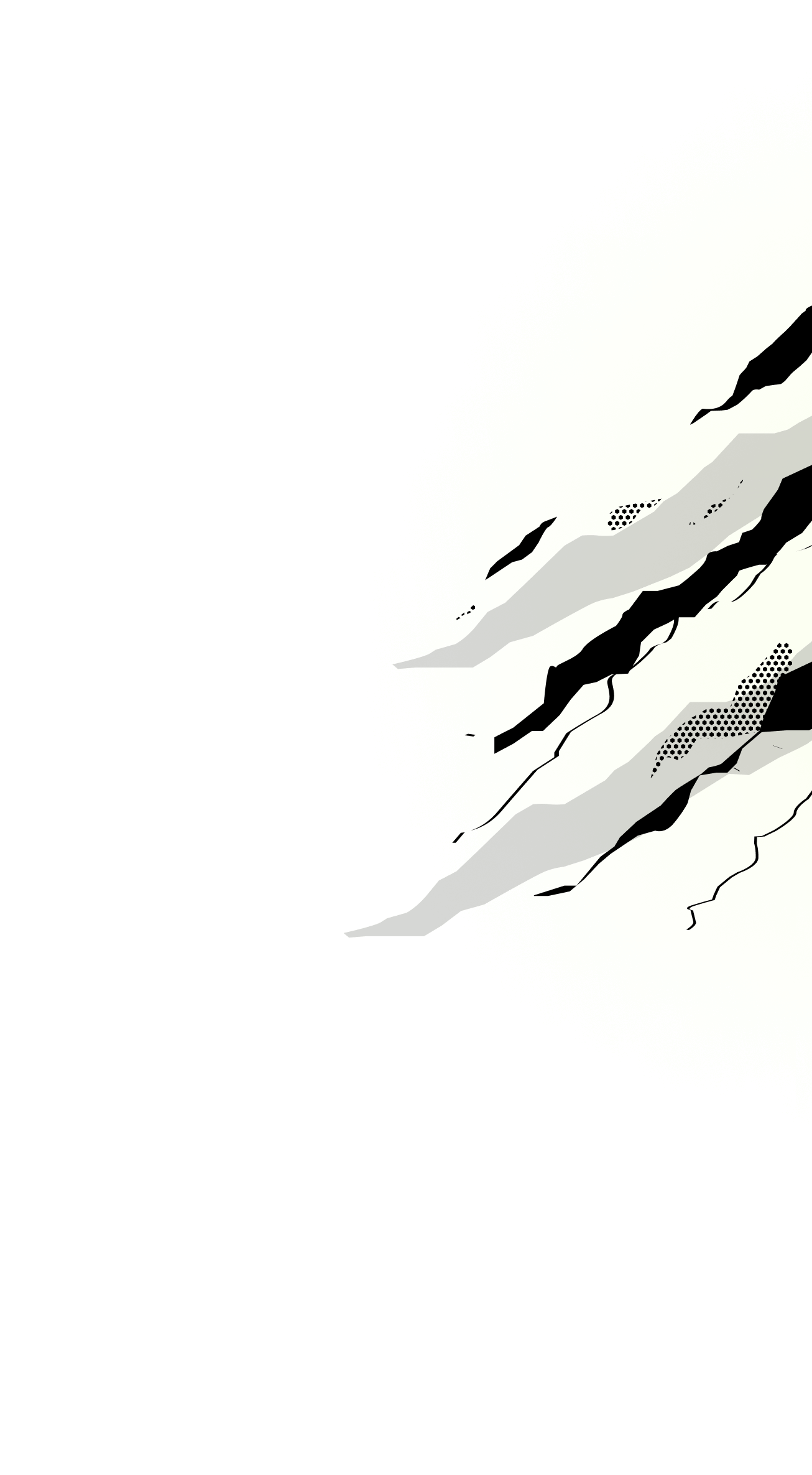 Particle Image