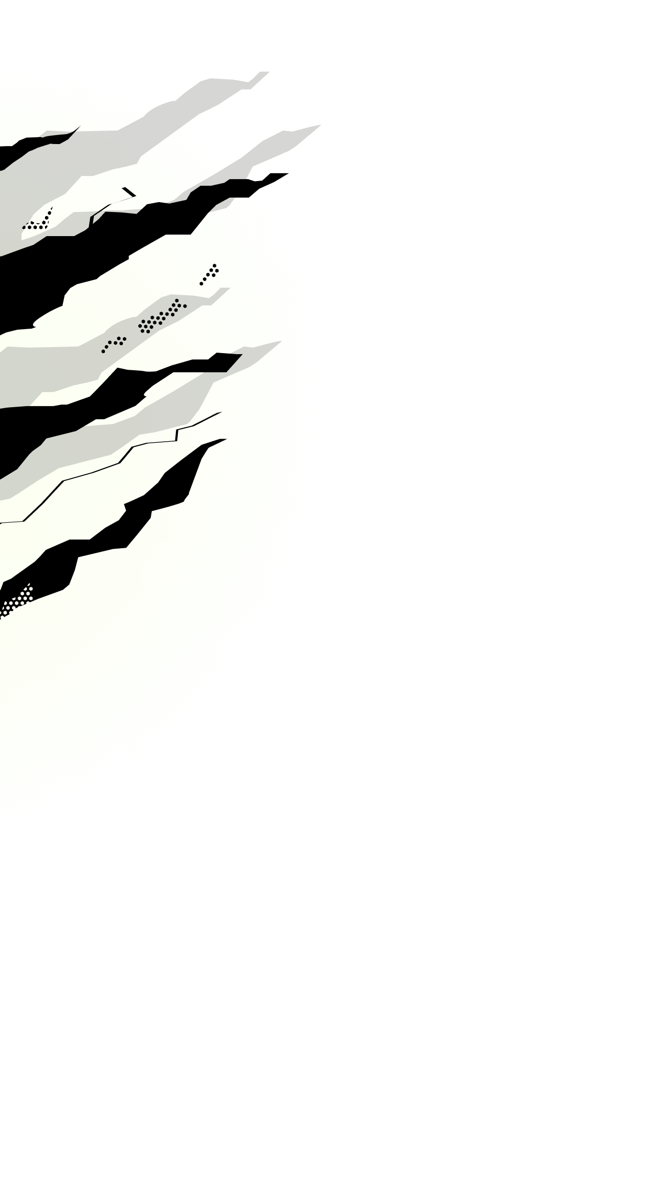 Particle Image
